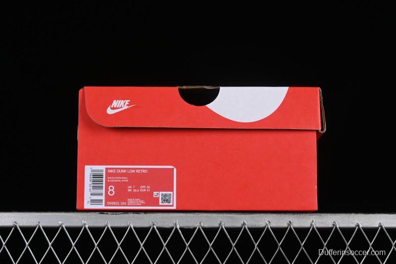 Nike Dunk Low Winter is Here Minimalist White Blue SB Lace-Up Low-Top Casual Skate Shoes - DV0831-104