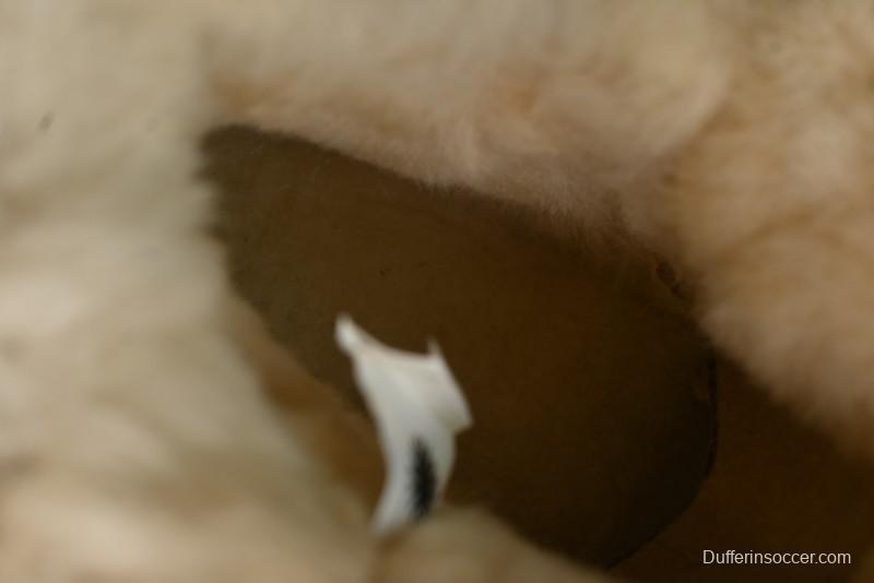 UGG Mini Bailey Button II Classic Short Boots with Wooden Button - 1016422