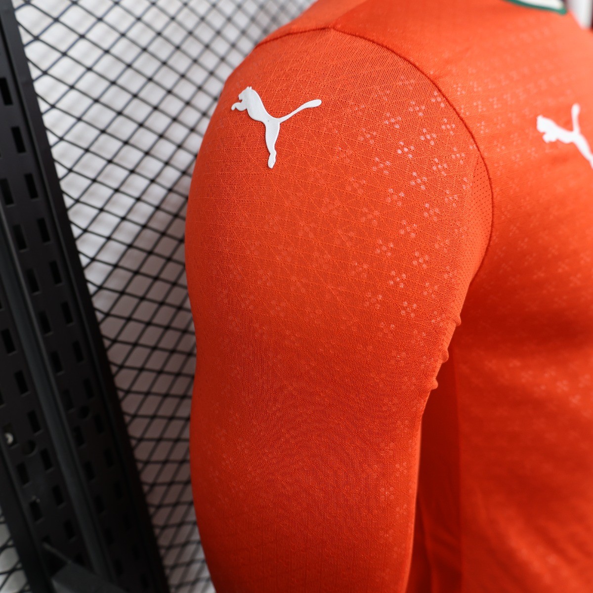 Player Version 2025 Portugal Home Long Sleeve Jersey